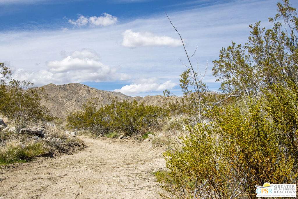 MLS #25495057PS image #1