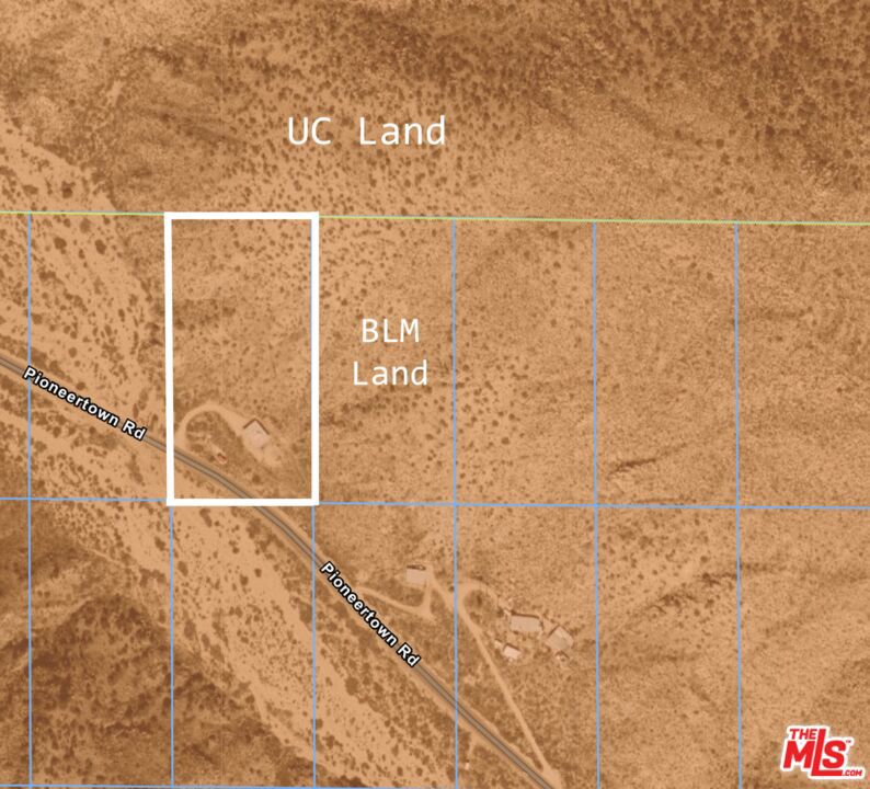 MLS #25498625 image #28