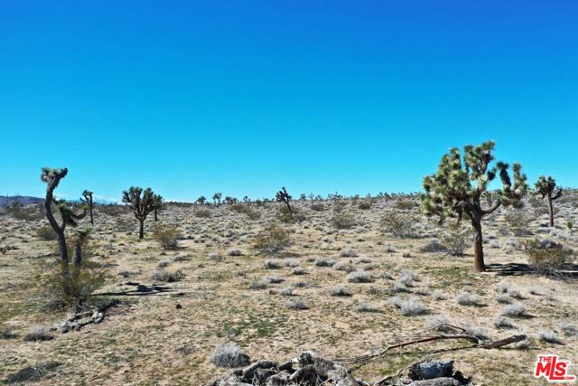 MLS #25518771 image #14