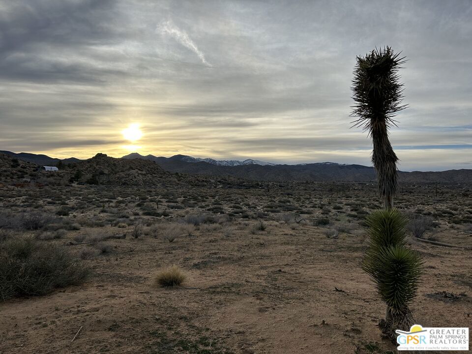 MLS #25522435PS image #1