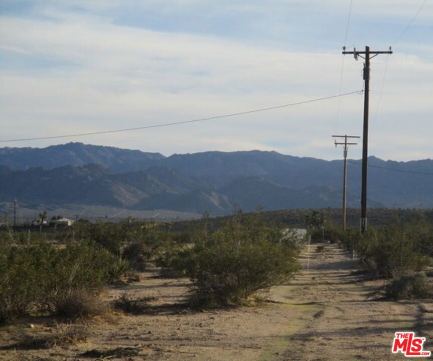 MLS #25534099 image #13