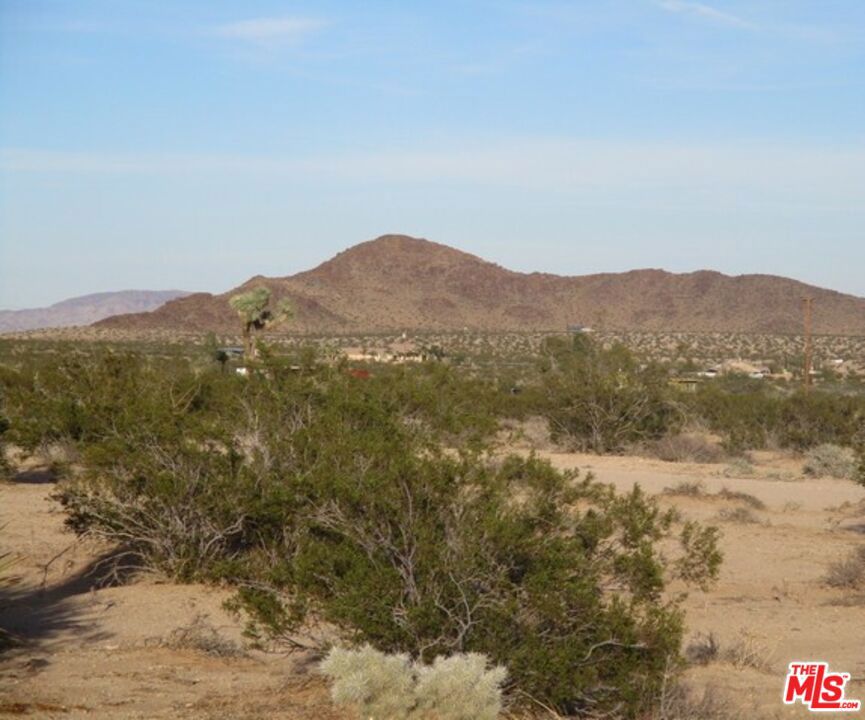 MLS #25534099 image #15