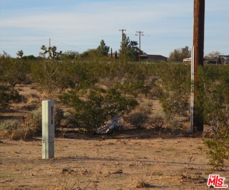 MLS #25534099 image #16