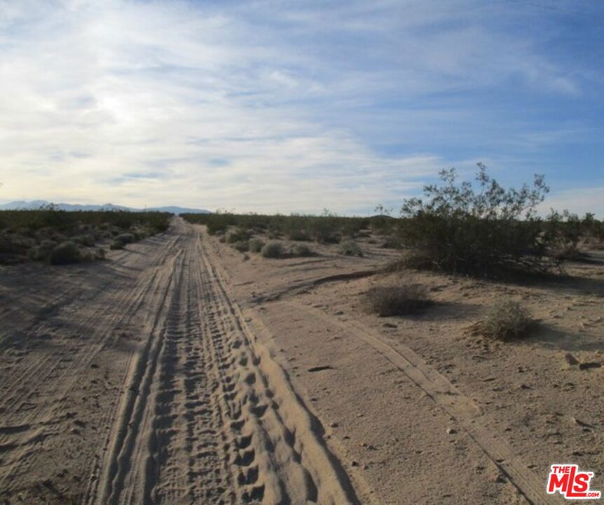 MLS #25534099 image #19