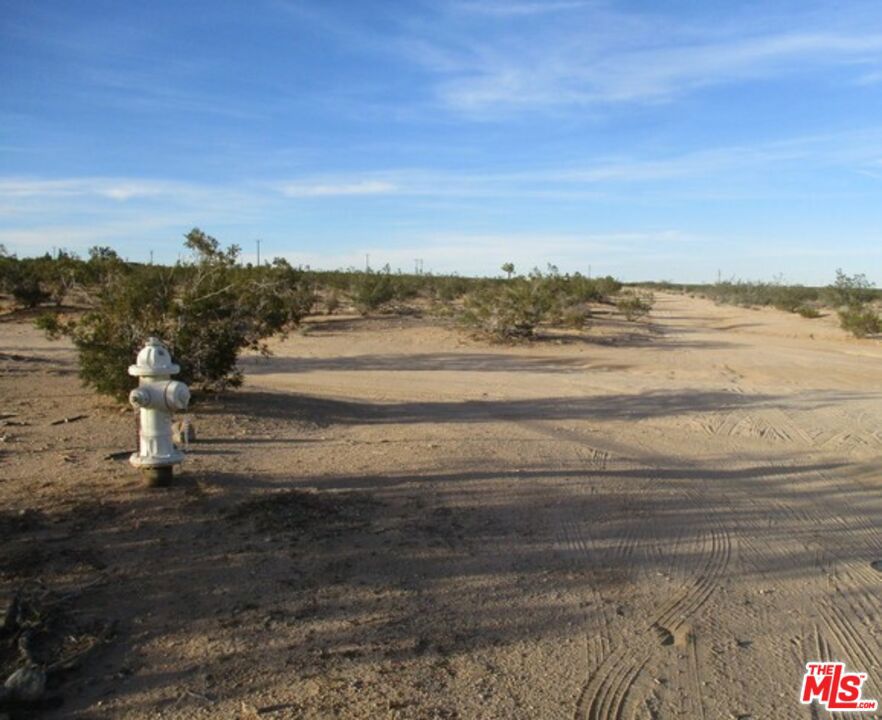 MLS #25534099 image #20