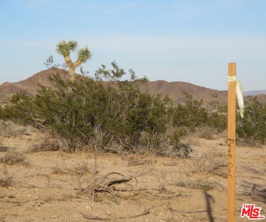 MLS #25534099 image #21