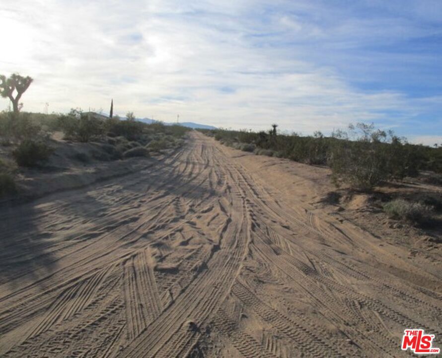 MLS #25534099 image #3