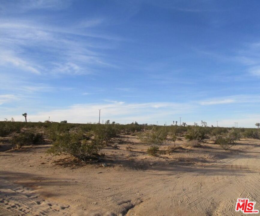 MLS #25534099 image #4