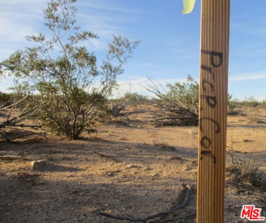 MLS #25534099 image #5