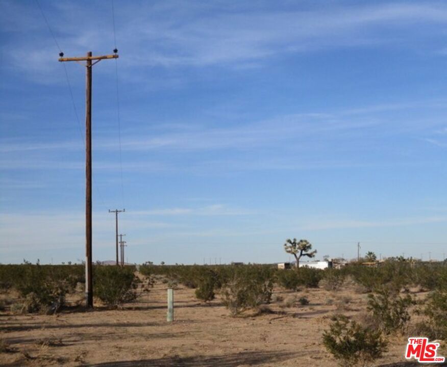 MLS #25534099 image #6