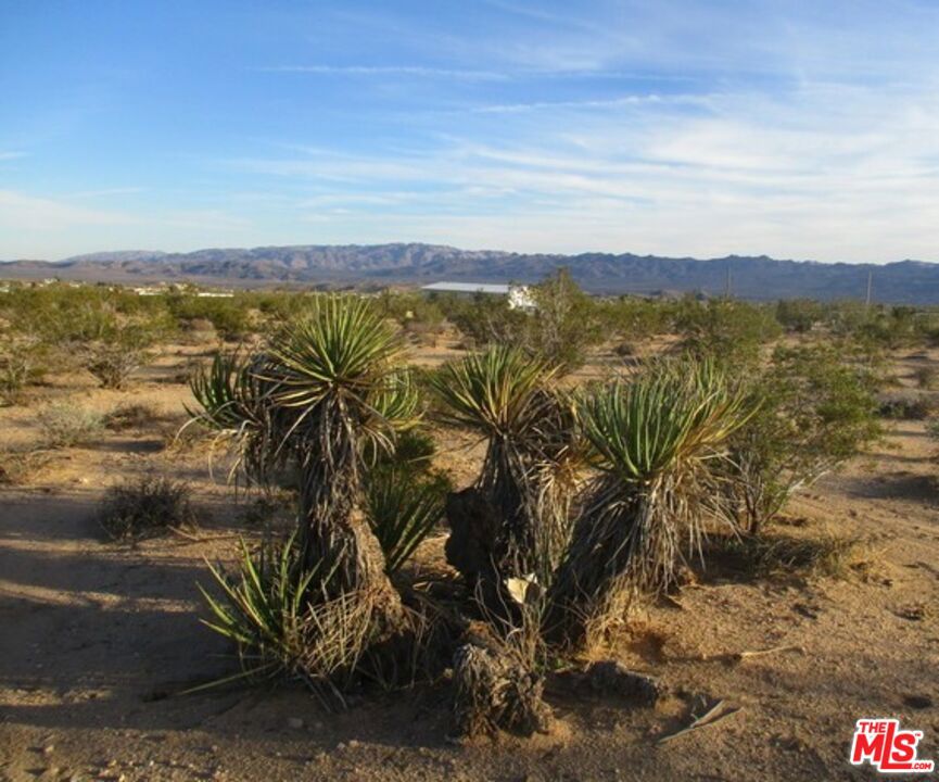 MLS #25534099 image #8