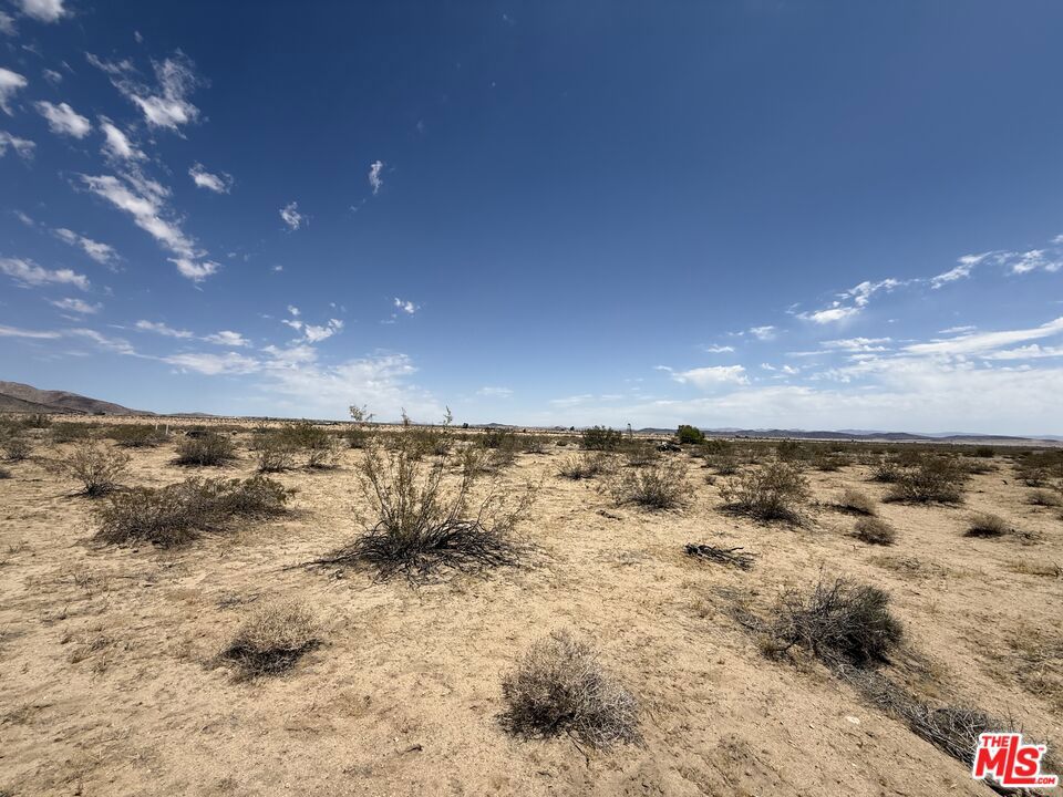 MLS #25560297 image #2