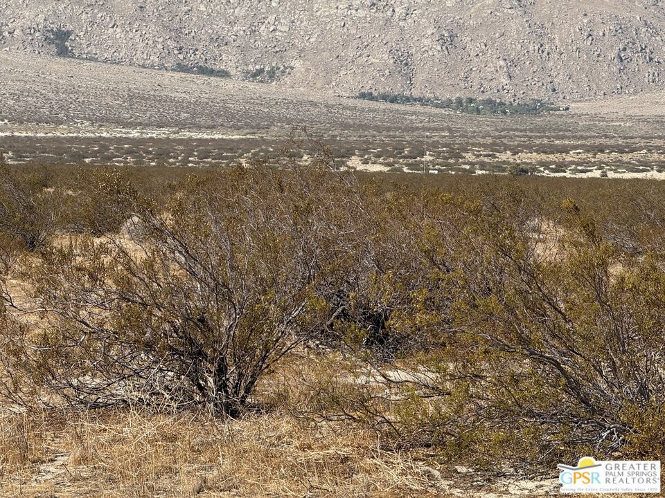 MLS #25577005PS image #13