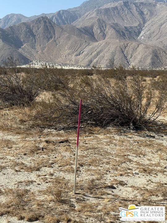 MLS #25577071PS image #3