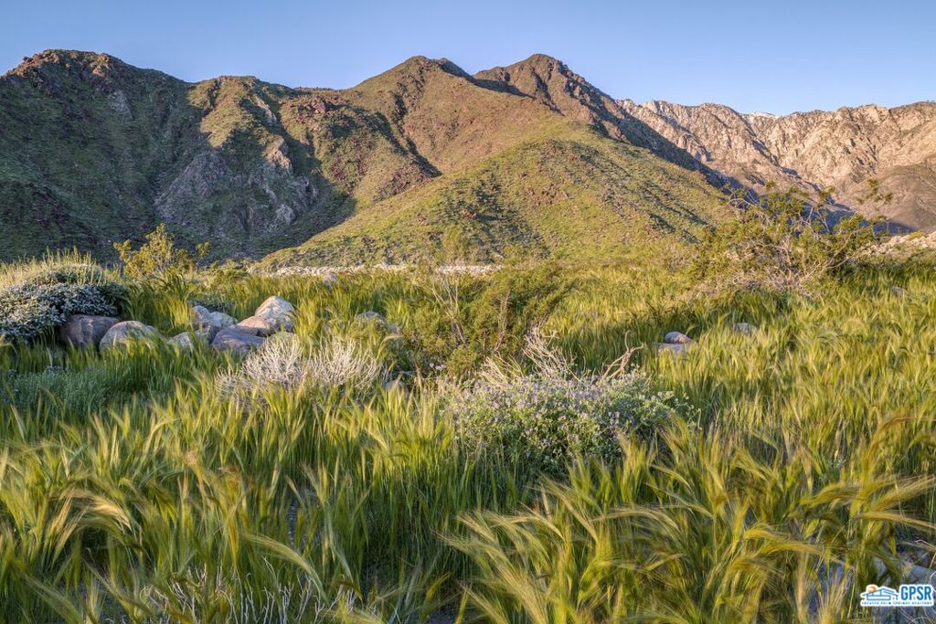 MLS #25579019PS image #9