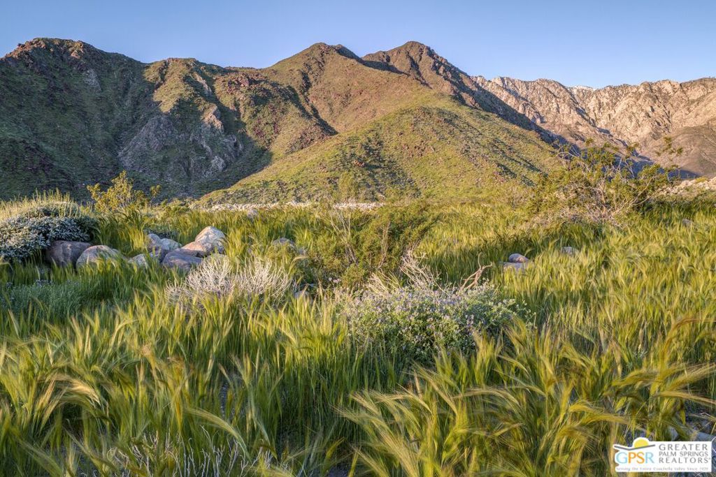 MLS #25579021PS image #12