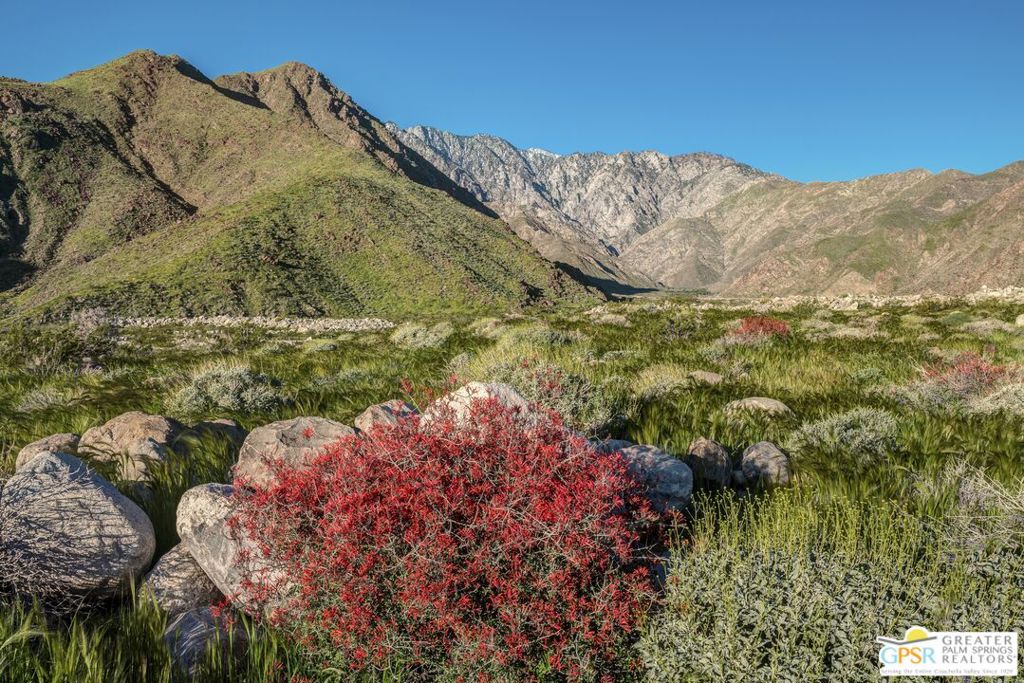 MLS #25579023PS image #7