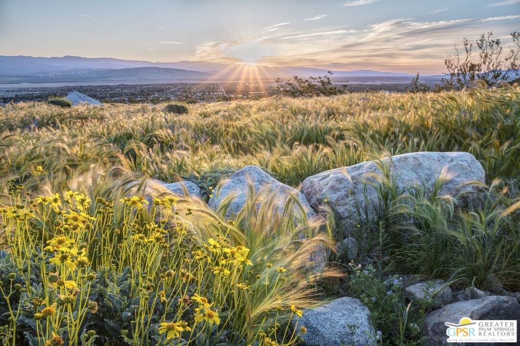 MLS #25579027PS image #5