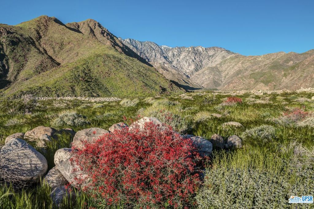 MLS #25579029PS image #12