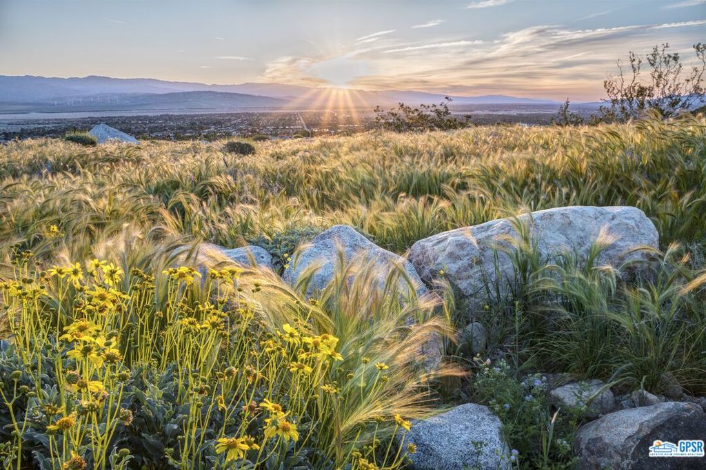 MLS #25579029PS image #15