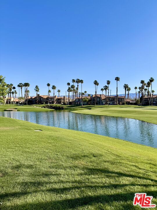 MLS #25585997 image #25