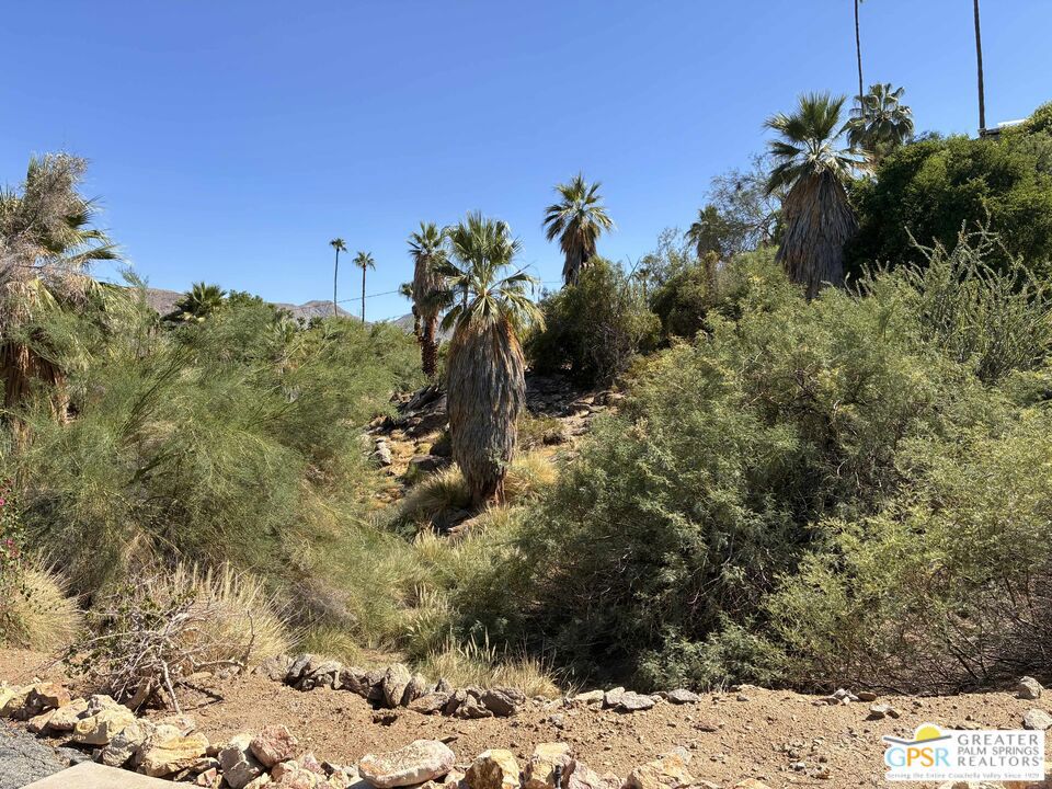 MLS #25589569PS image #6