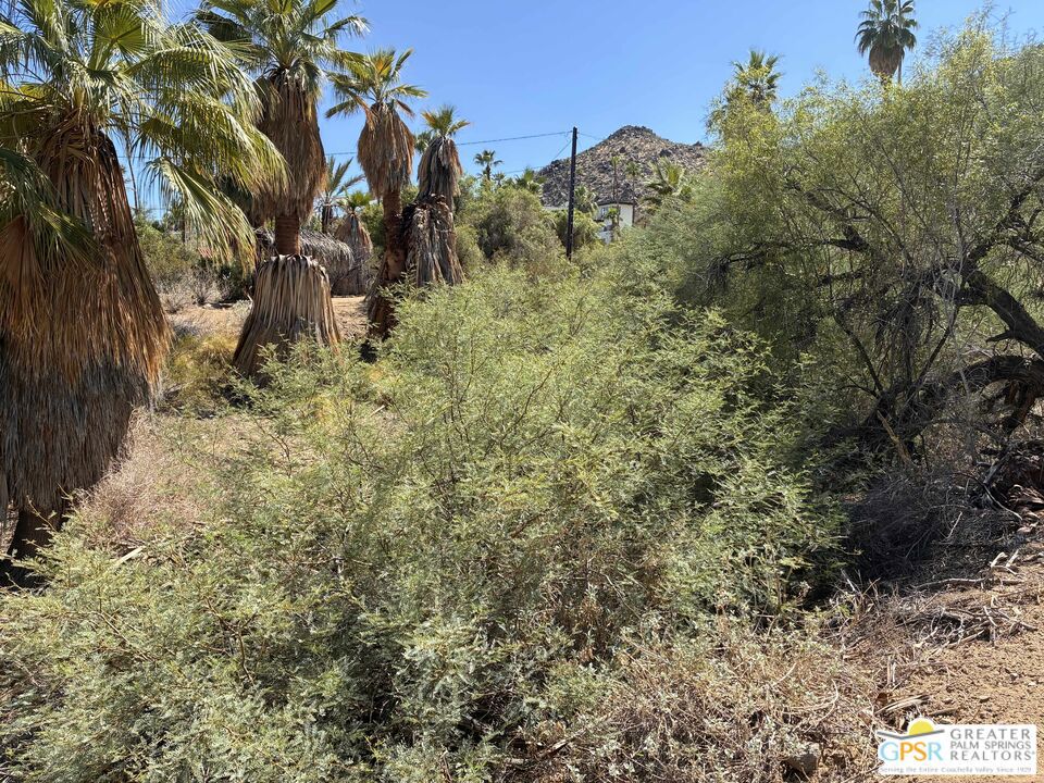 MLS #25589569PS image #7