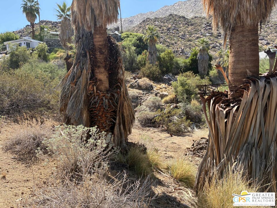 MLS #25589569PS image #8