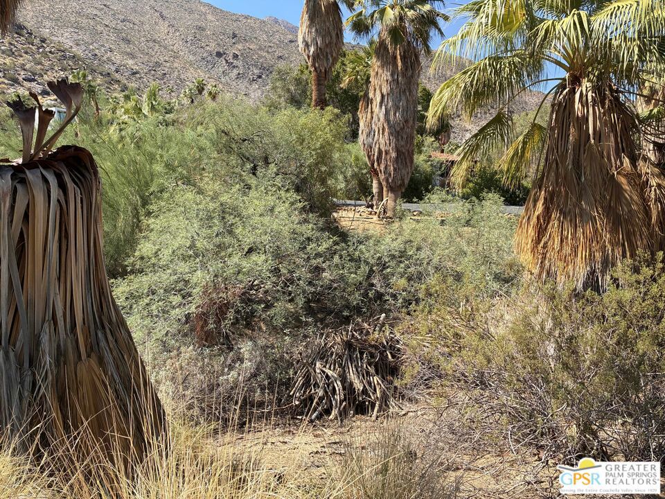 MLS #25589569PS image #9