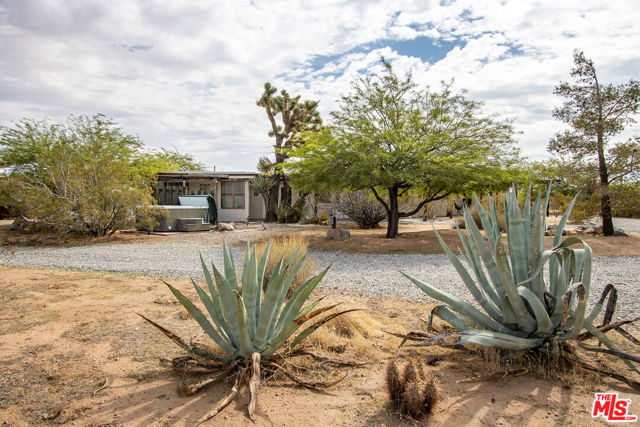 MLS #25597233 image #50