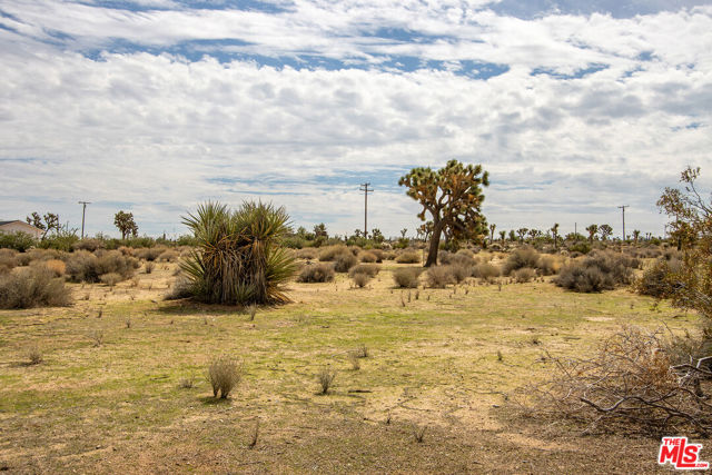 MLS #25597233 image #59