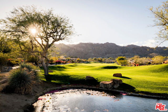 MLS #25599873 image #51