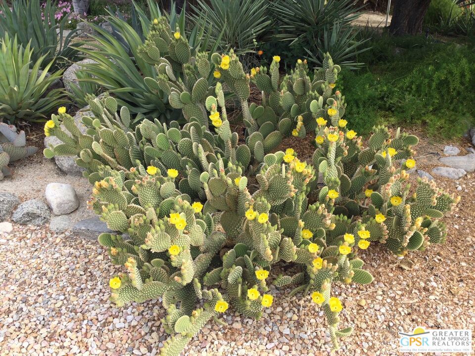 MLS #25606619PS image #39