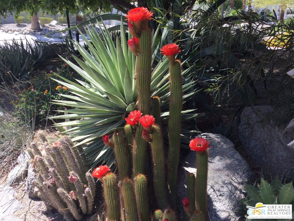 MLS #25606619PS image #40