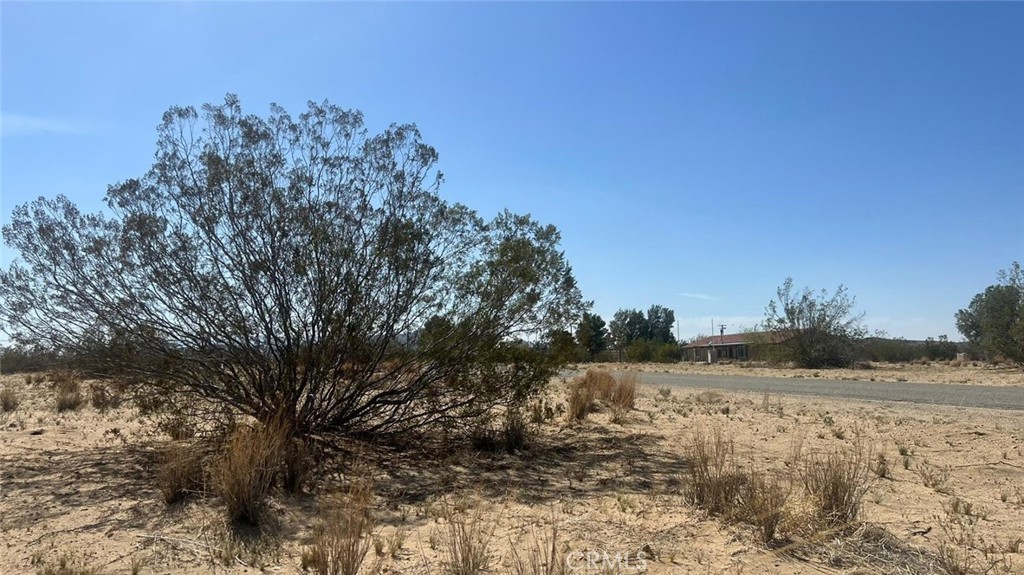 MLS #AR23079326 image #5