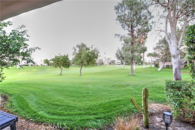 MLS #AR25197717 image #23