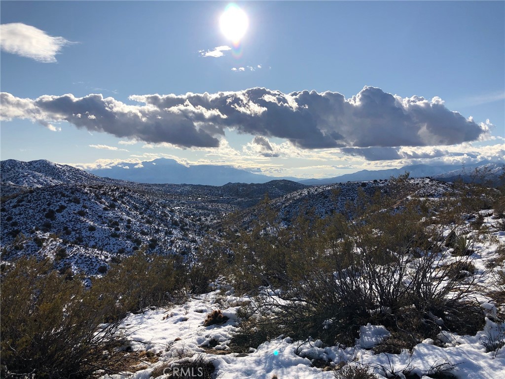 MLS #BB25134926 image #1