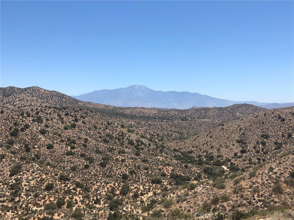 MLS #BB25134926 image #3