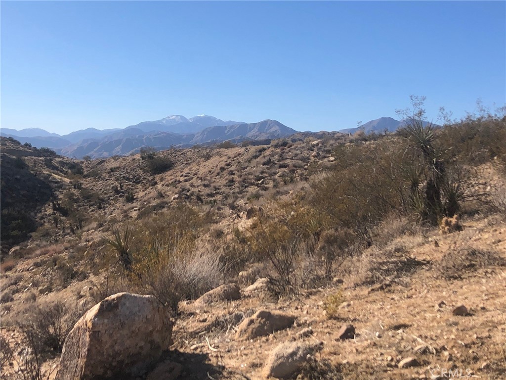 MLS #BB25134926 image #4