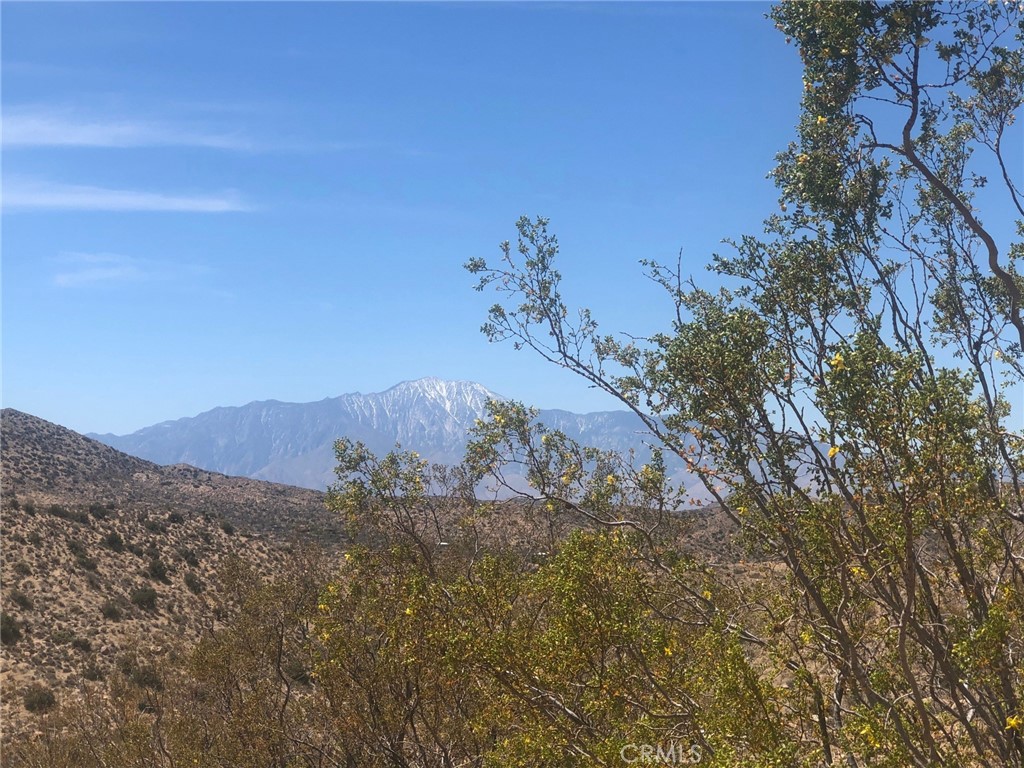 MLS #BB25134926 image #5