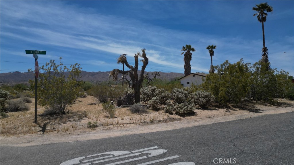 MLS #CV23078864 image #11