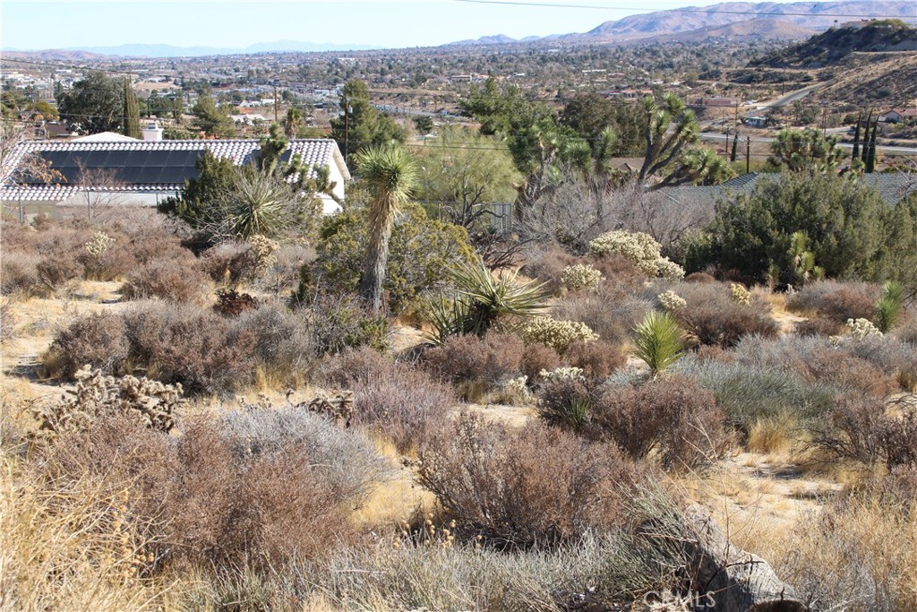 MLS #CV25057914 image #11