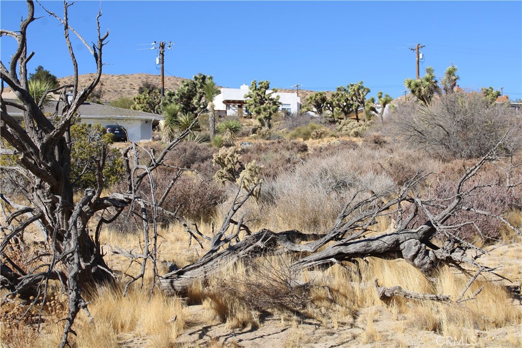 MLS #CV25057914 image #14