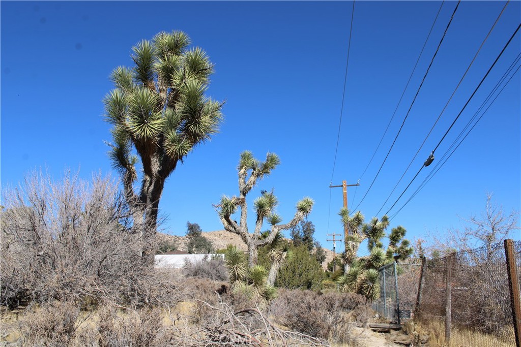 MLS #CV25057914 image #5