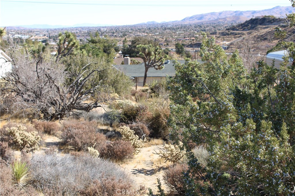 MLS #CV25057914 image #8