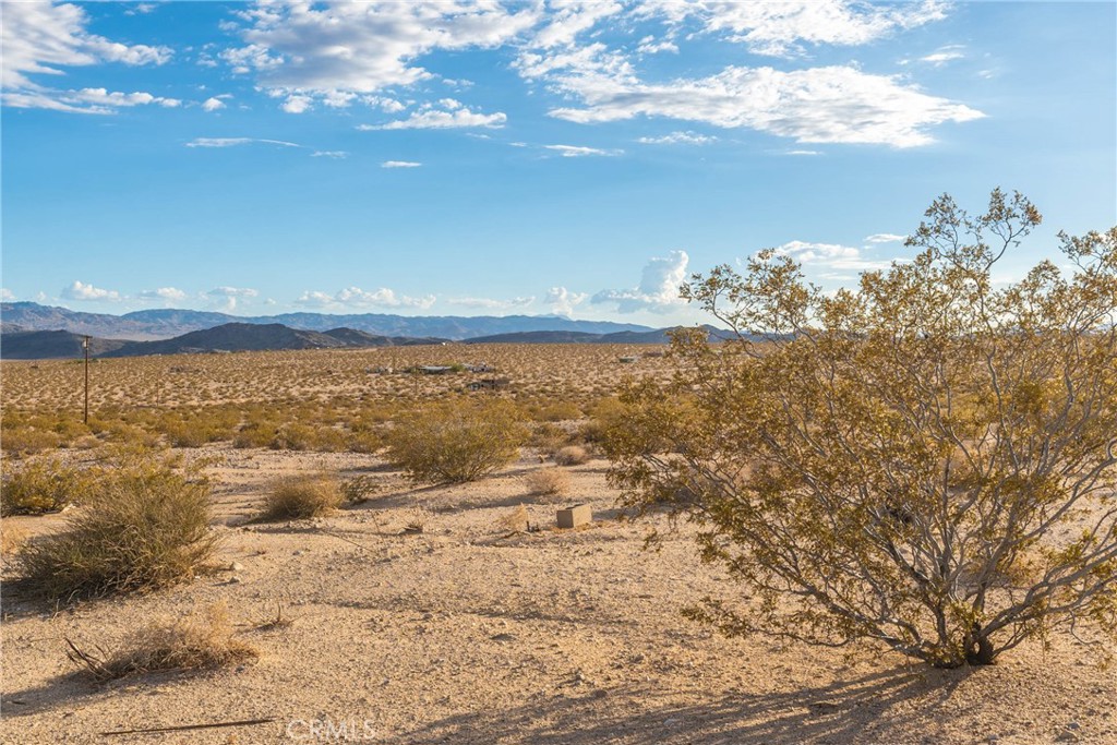 MLS #CV25094735 image #38