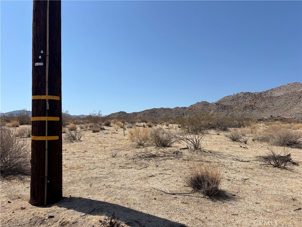 MLS #CV25126976 image #4