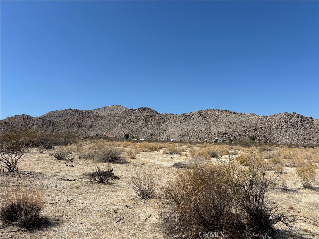 MLS #CV25126976 image #5