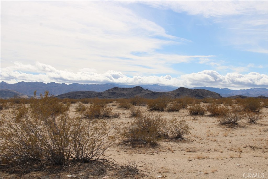 MLS #CV25144728 image #4