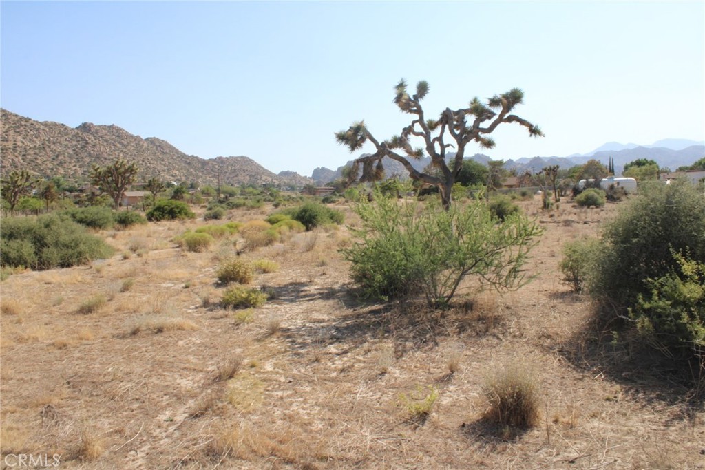 MLS #CV25150716 image #3